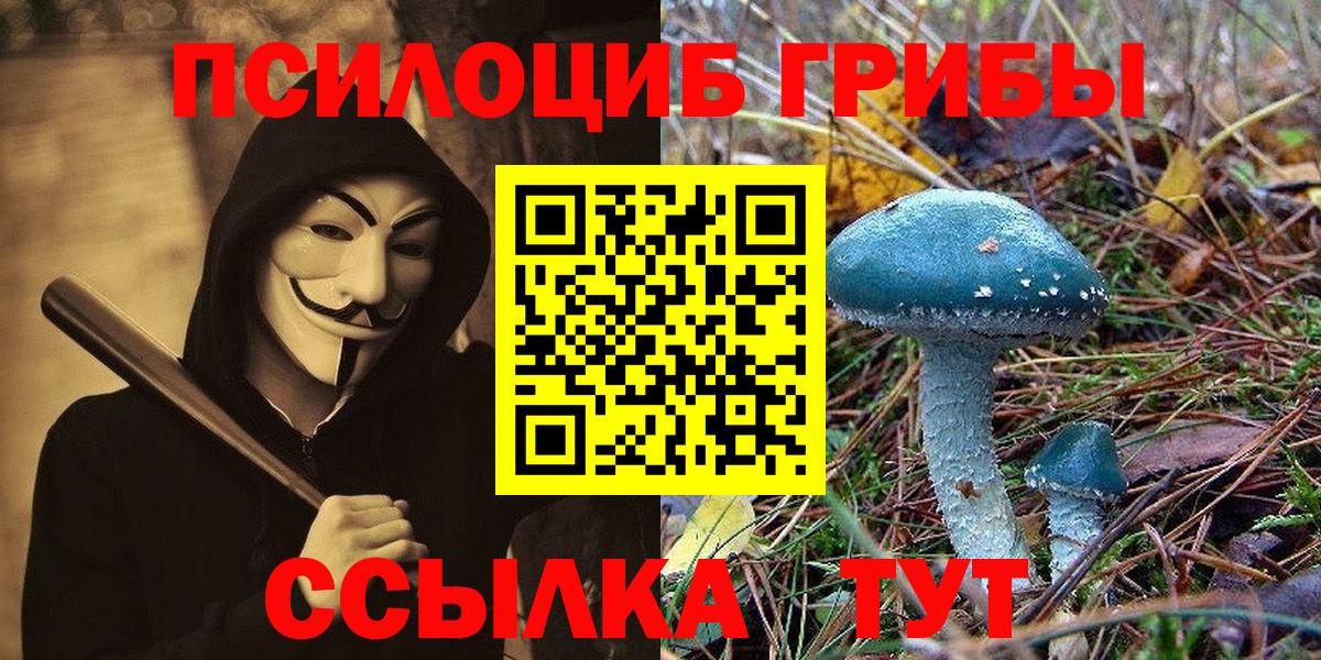 Джанкой  Галлюциногенные грибы Psilocybine cubensis  Вход с VPN 